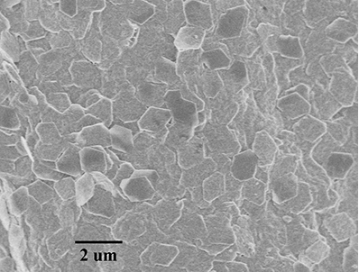 進(jìn)口氧化鋁納米片Alumina Nanoplates A100