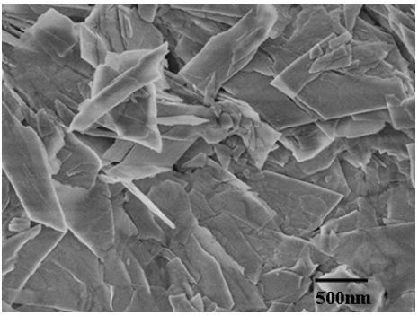 進(jìn)口氧化鋅納米片 Zinc Oxide Nanoplates